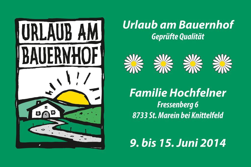 Ferienhaus Hochfelner Sankt Marein bei Knittelfeld Exterior photo